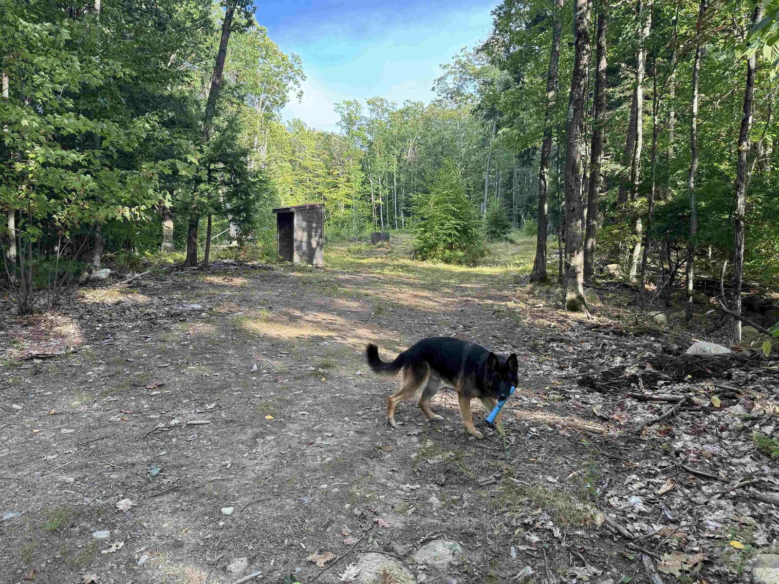 Property Photo: 26 Circuit Road NH 03864