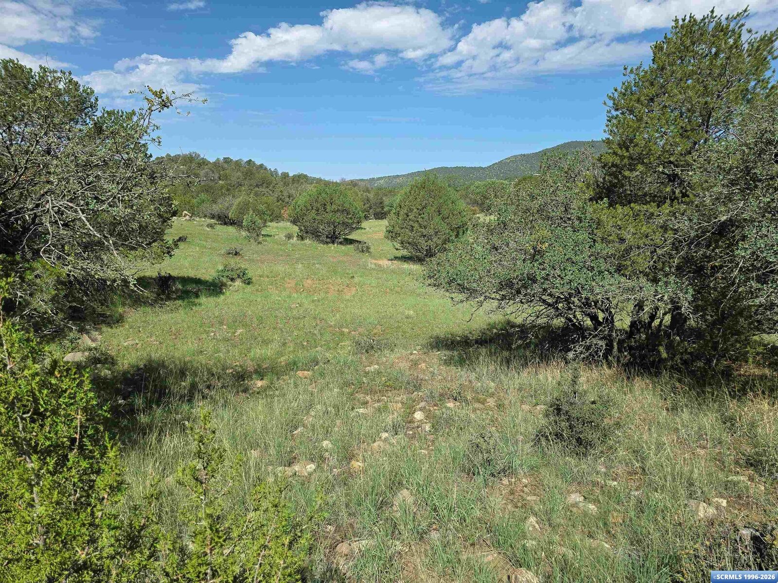 Property Photo:  37-X1 Black Dog Road  NM 88061 