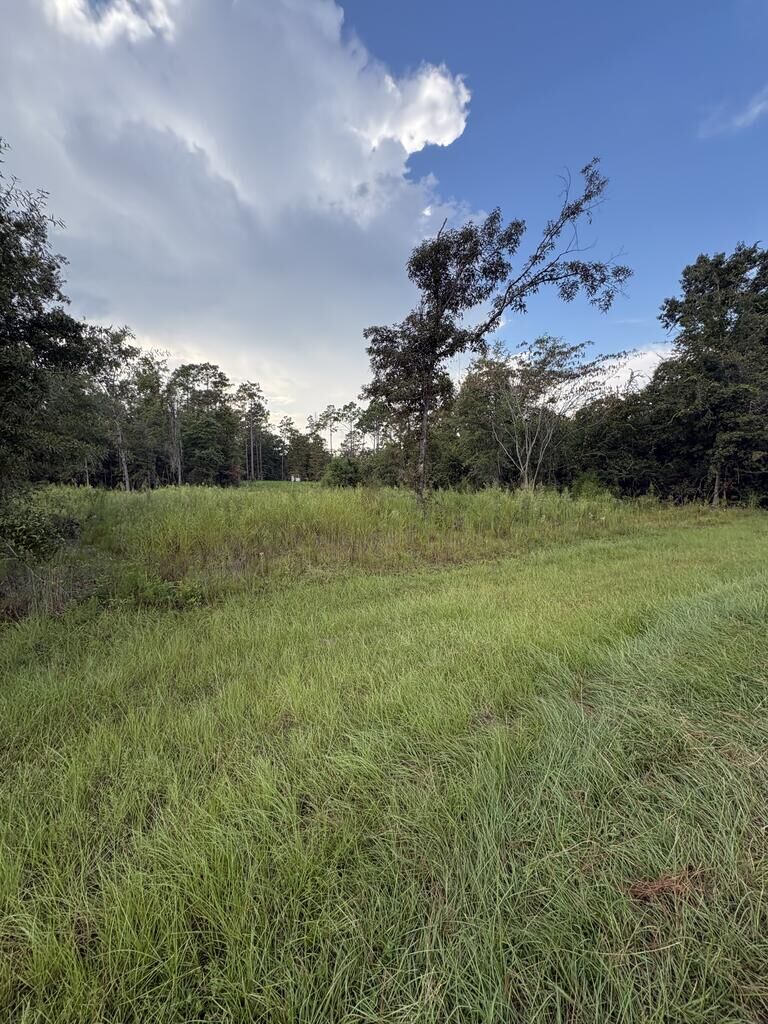 Property Photo:  Lot 60 Lake Carroll Drive Lot 60  GA 39845 
