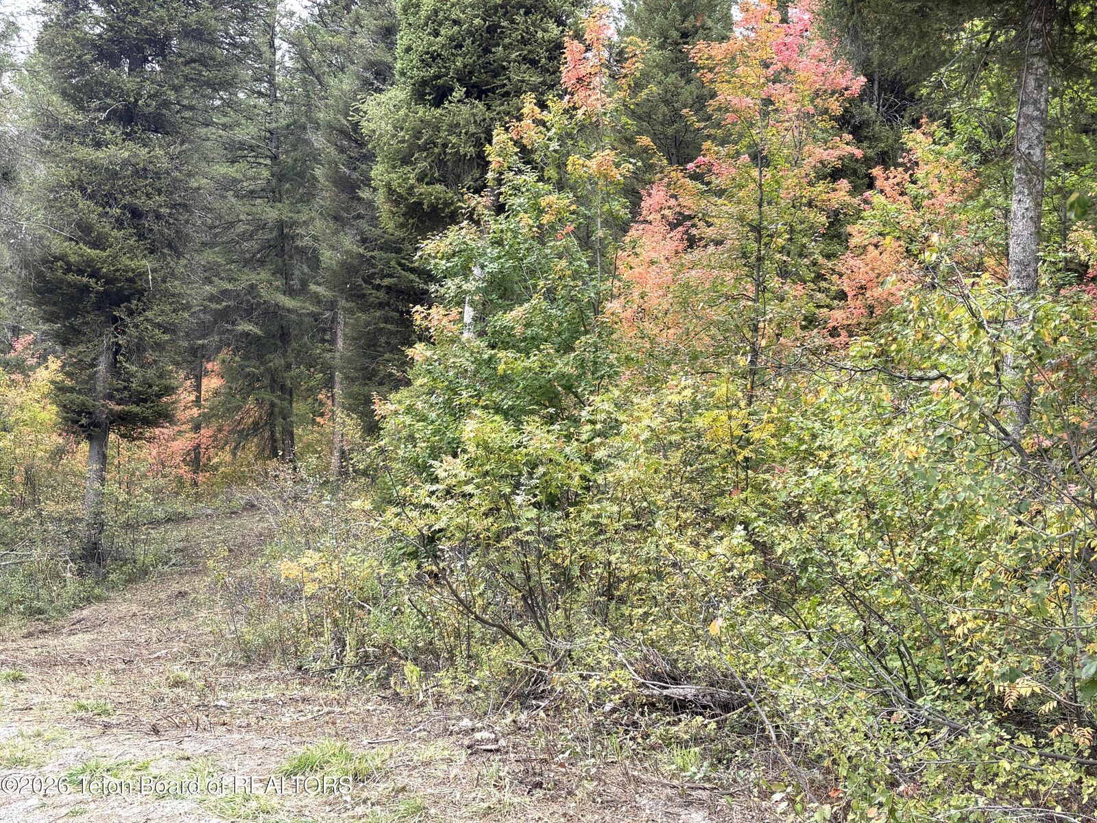 Property Photo:  Lot 60 Cedar Drive  WY 83127 