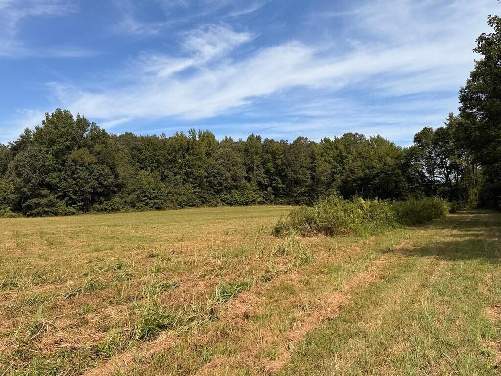 Property Photo:  Parcel 3 Tater House Rd  TN 38342 
