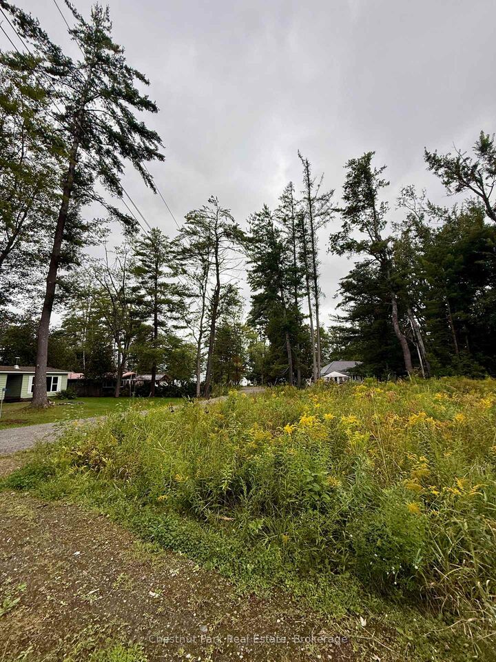 Property Photo:  1006 Chippawa Avenue  ON P1P 1R1 