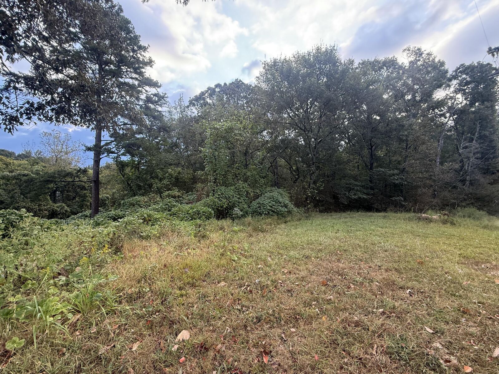 Property Photo: 0 11th Street AL 35740