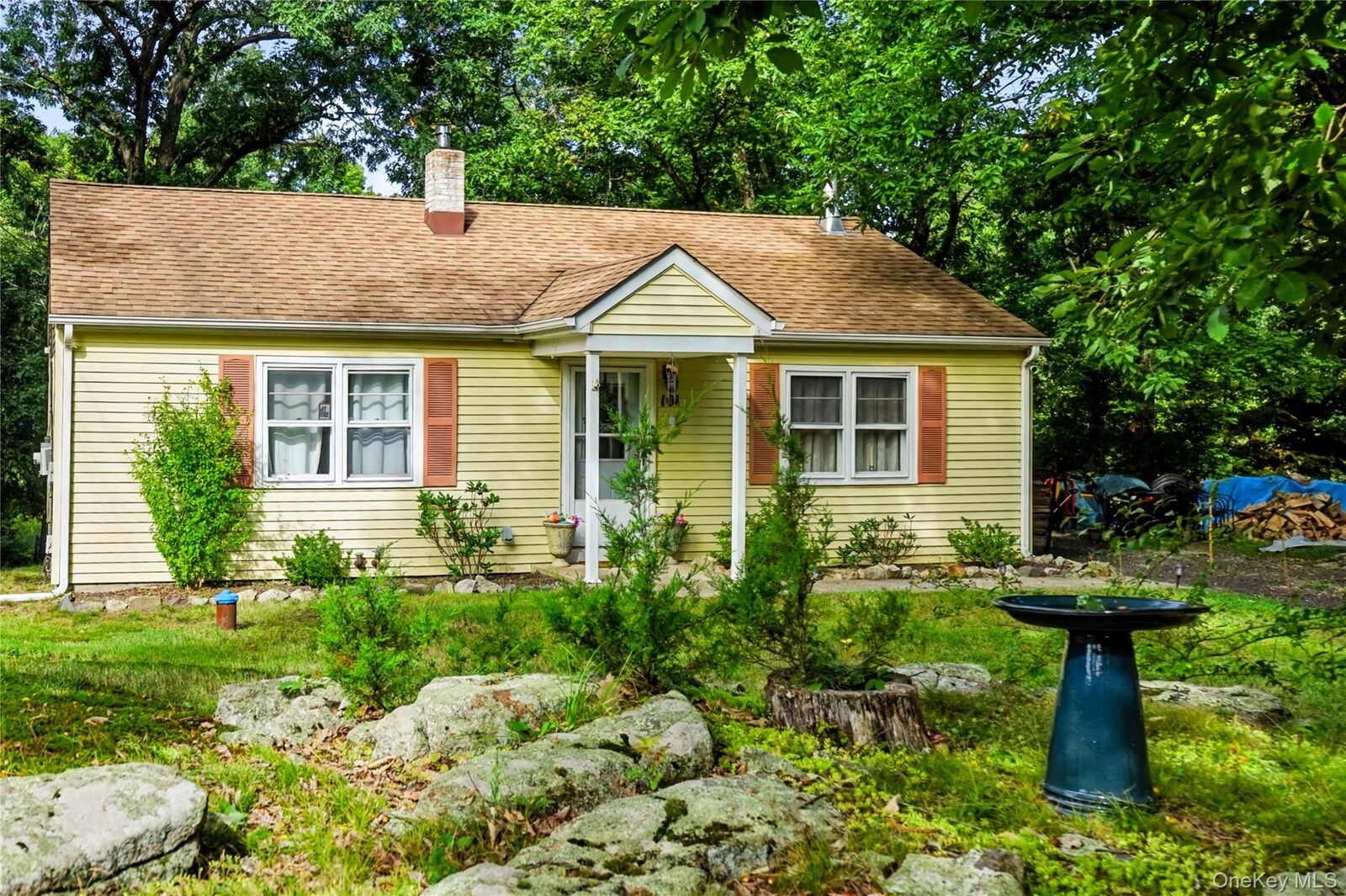 Property Photo:  101 Ludlam Road  NY 10950 