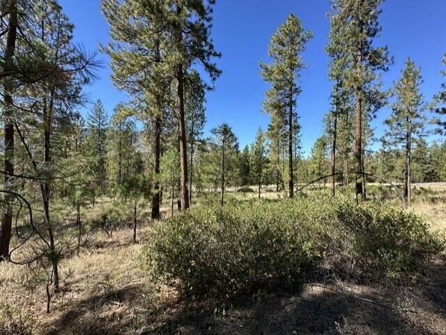 Property Photo: 1176 Fumi Cir WA 99141