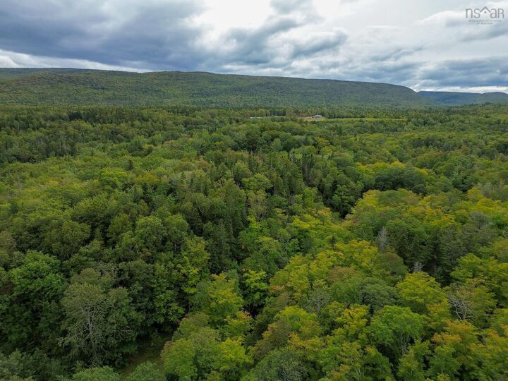 Property Photo:  0 Cabot Trail  NS B0C 1G0 
