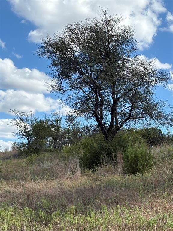 Property Photo:  19 Parks Medow Dr.  TX 76455 