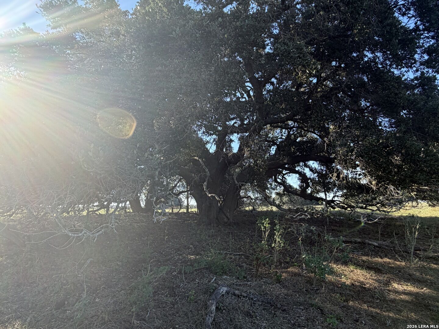 Property Photo: Tbd State Highway 123 S TX 78160
