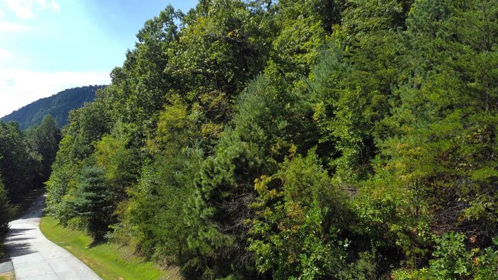 Property Photo:  275 Kincaid Place ***  NC 28756 