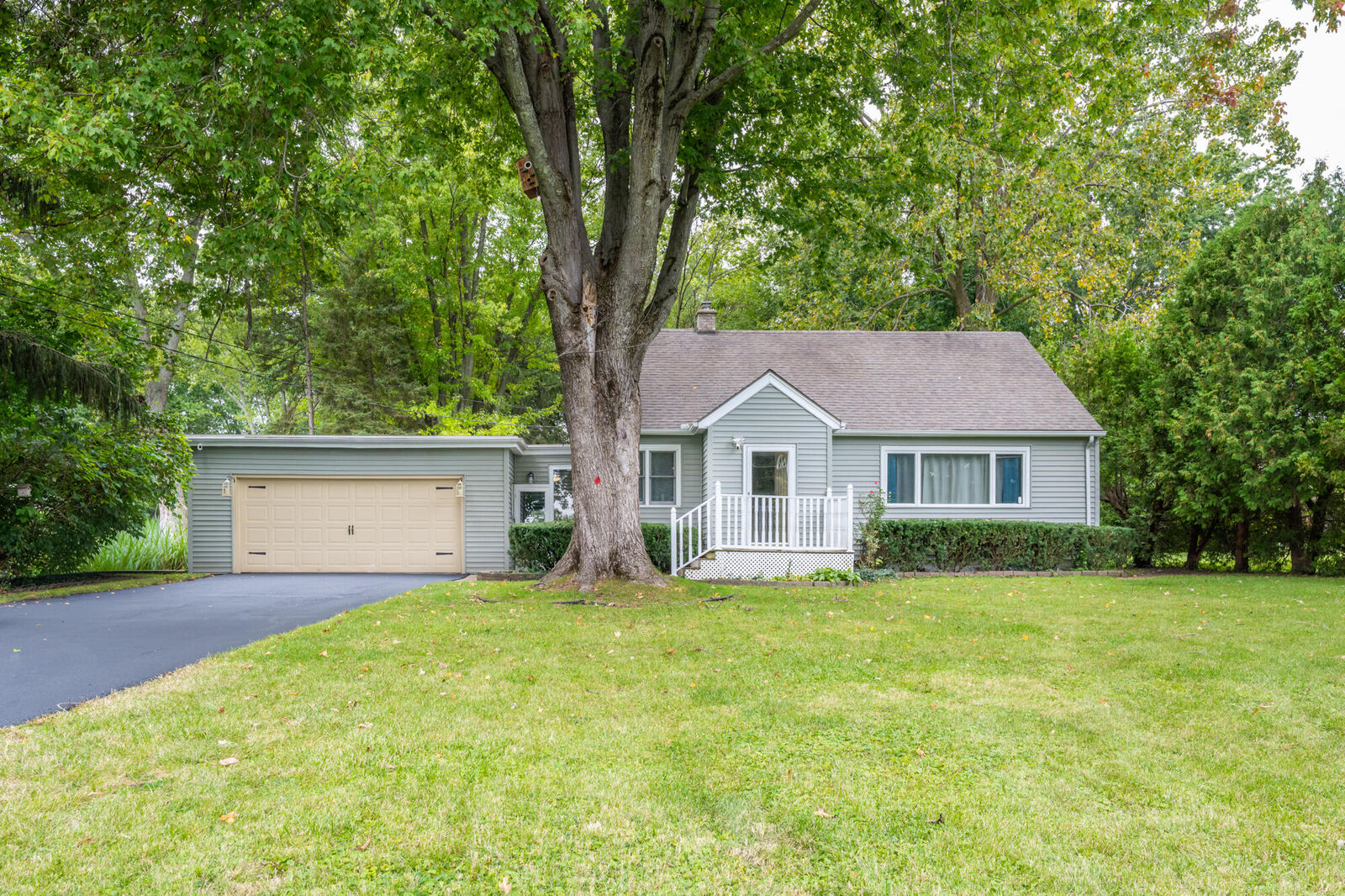 Property Photo:  2286 Washington Avenue  MI 49085 