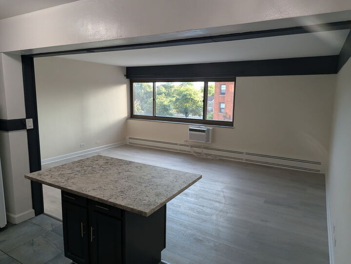 Property Photo:  7337 S South Shore Drive 430  IL 60649 