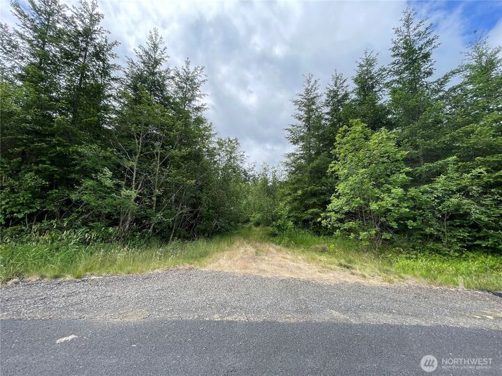 Property Photo:  0 Nka  Finkas Road  WA 98649 