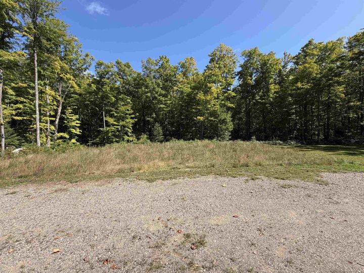 Property Photo:  1018 Lily Lake Road  WI 54465 