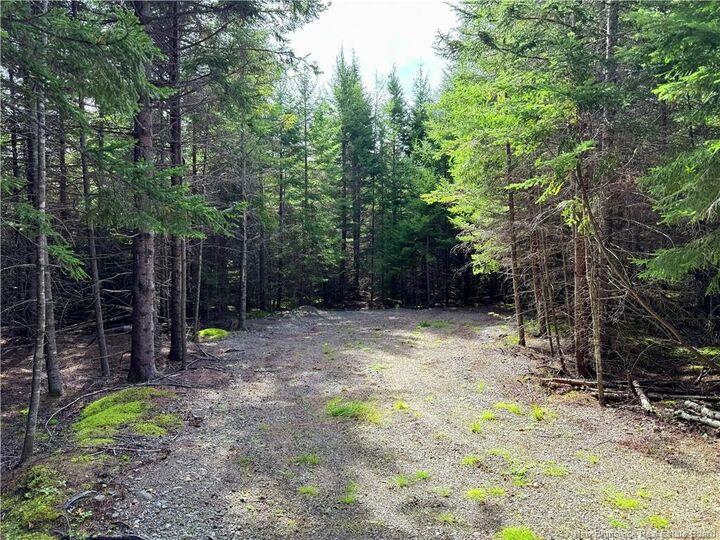 Property Photo:  5 Spurline Avenue  NB E5H 2J7 