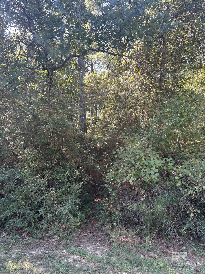 Property Photo: 0 Northshore Drive AL 36507