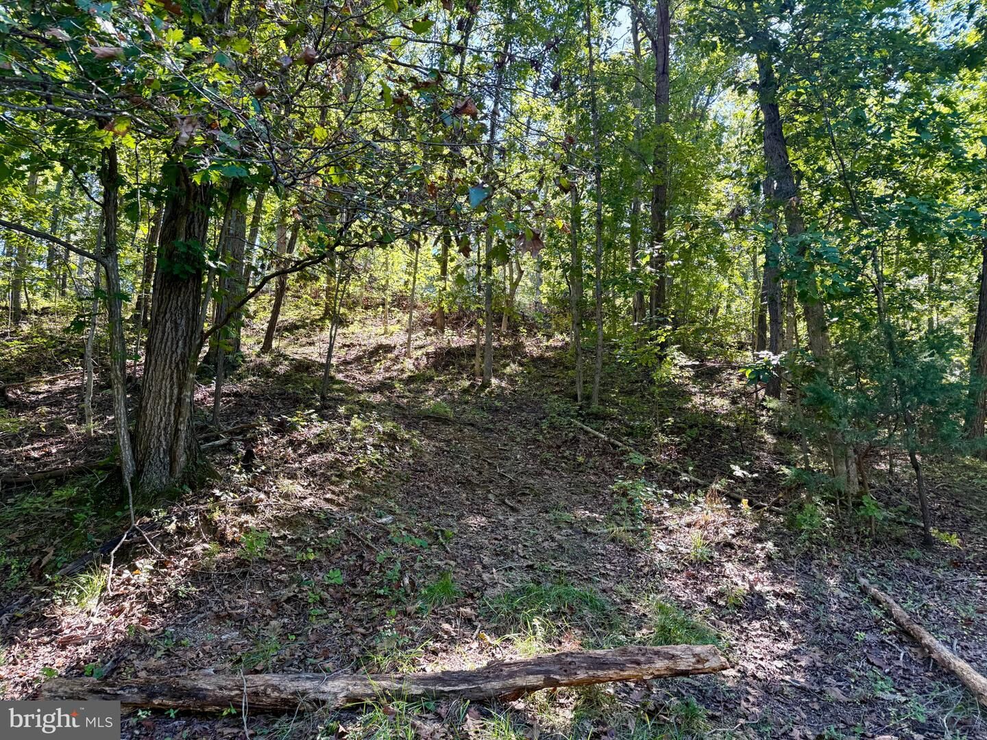 Property Photo: Lot 147C Tea Berry Road VA 22644