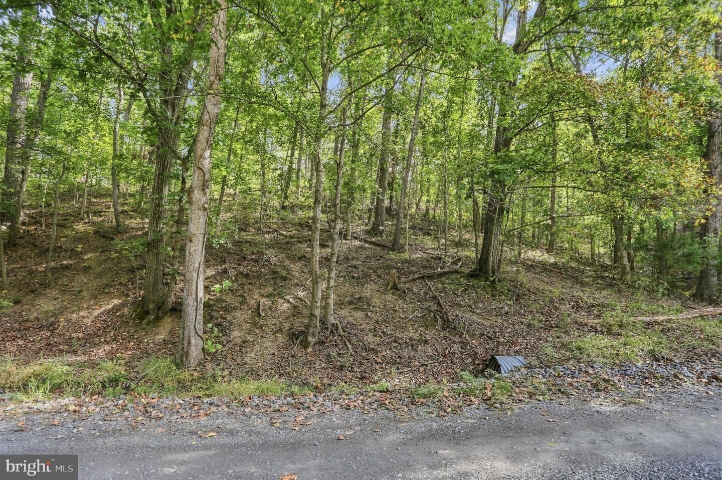 Property Photo:  Lot 147C Tea Berry Road  VA 22644 
