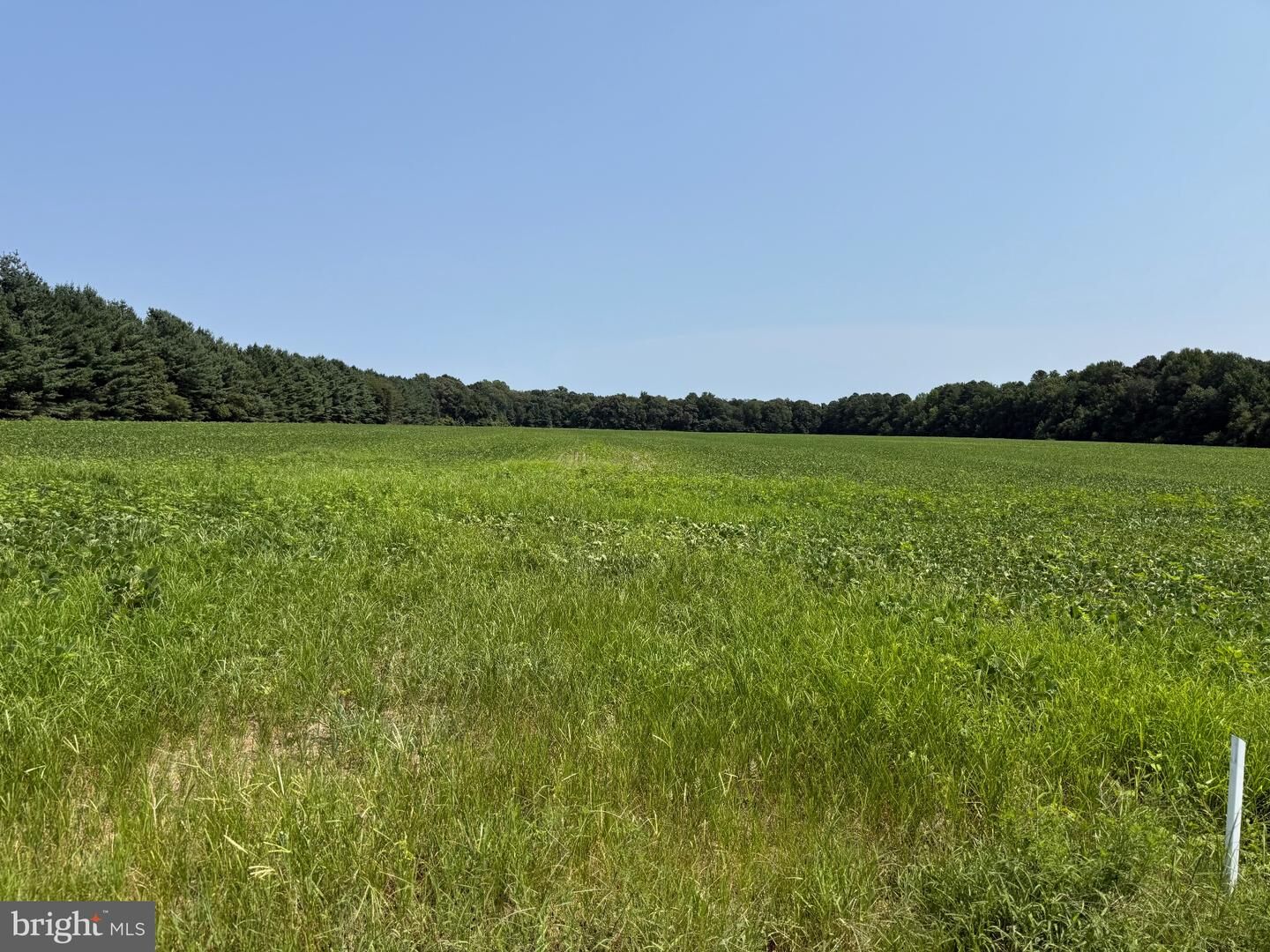 Property Photo:  0000 Harmony Rd.  MD 21655 
