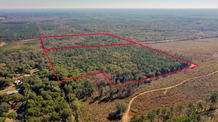Property Photo:  75 Acres N Florida 81  FL 32455 