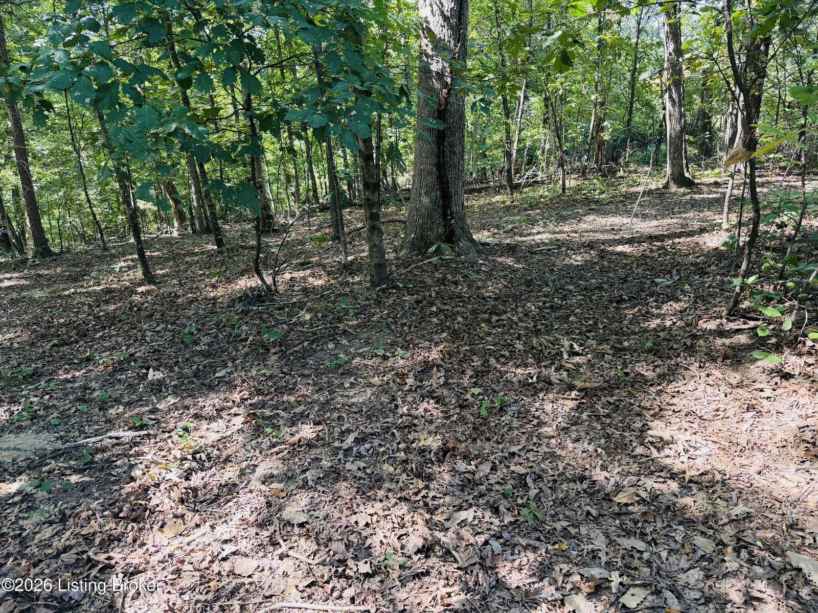 Property Photo: Lot 52 Rams Run KY 40165
