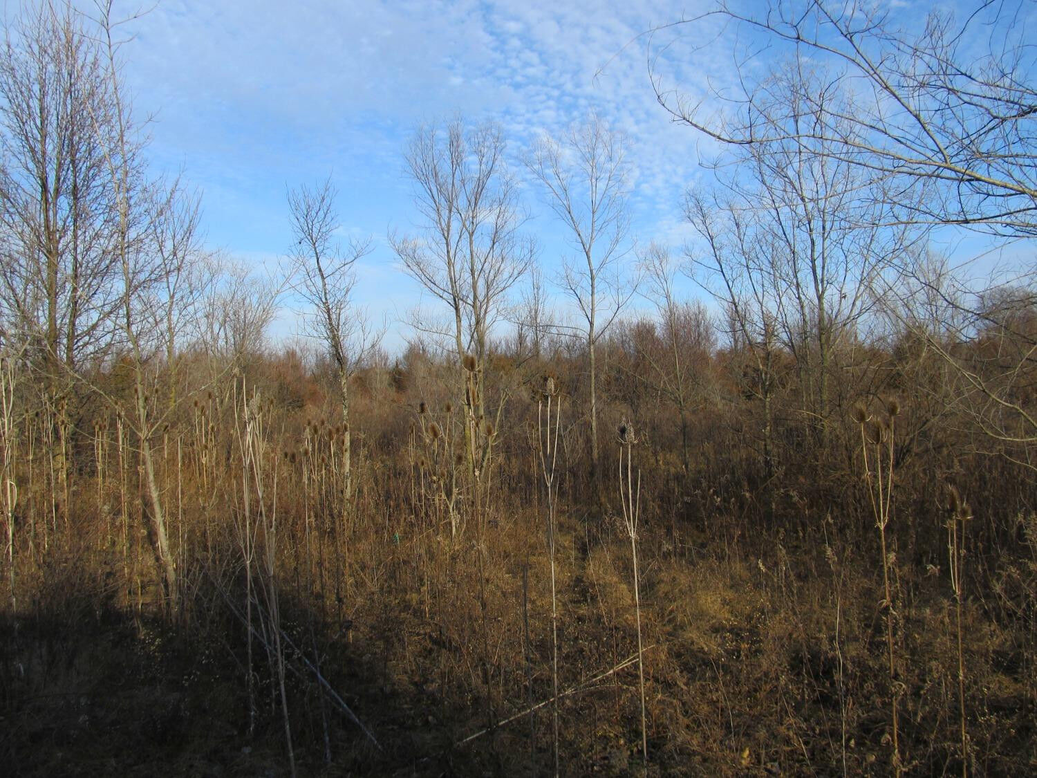 Property Photo:  0-Lot 9 Grant Street  IN 46410 