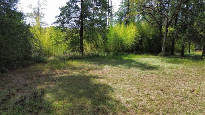 Property Photo: 1156 County Road 2132 TX 75932