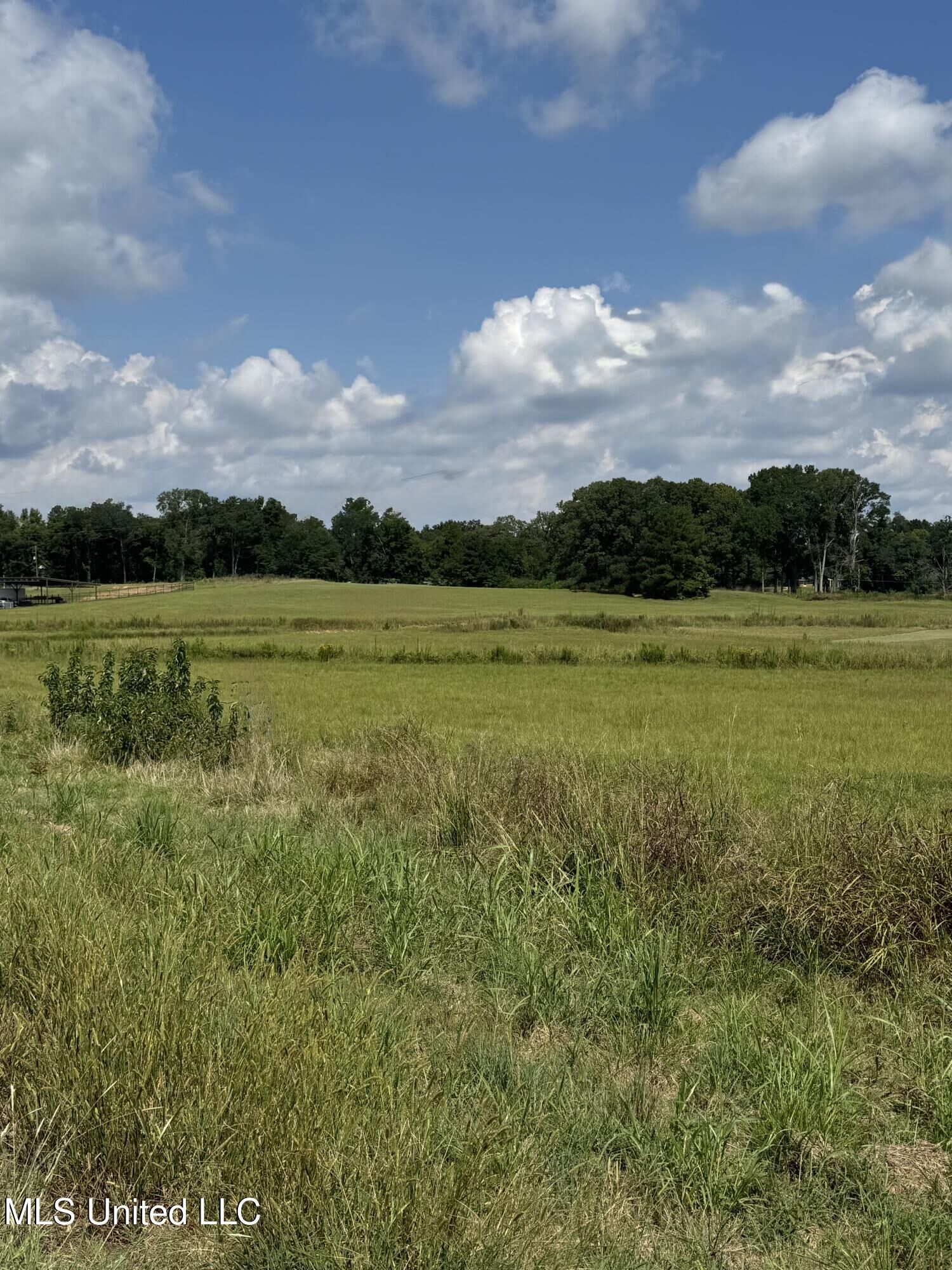 Property Photo: C2 Ms-16 MS 39039