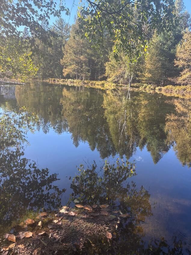 Property Photo:  9025 Boggie Drive  MI 49346 