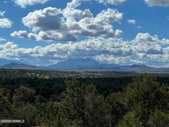 Property Photo:  1282 Watchtower, Lot C - 12 Ac  AZ 86046 