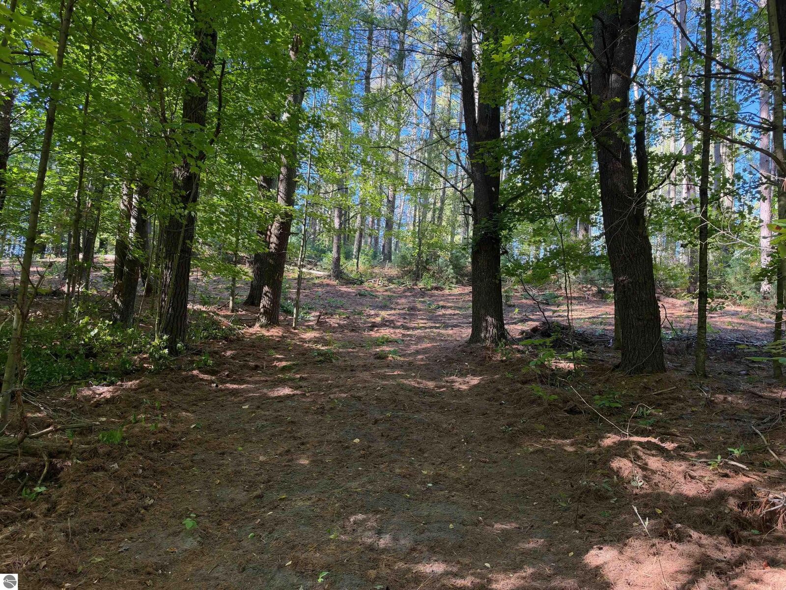 Property Photo: 0 Raymond Road MI 49688