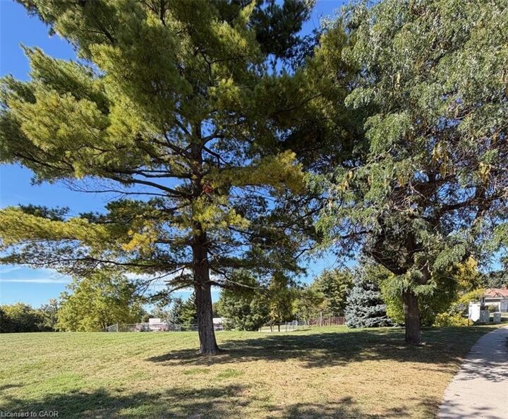 Property Photo:  36 Lauris Avenue  ON N1R 5L4 