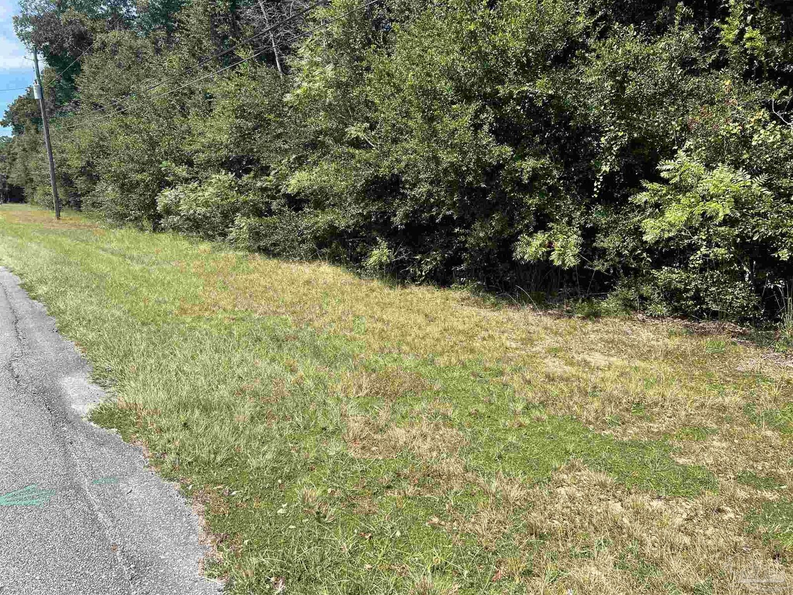 Property Photo:  00 Carlyn Dr  FL 32571 