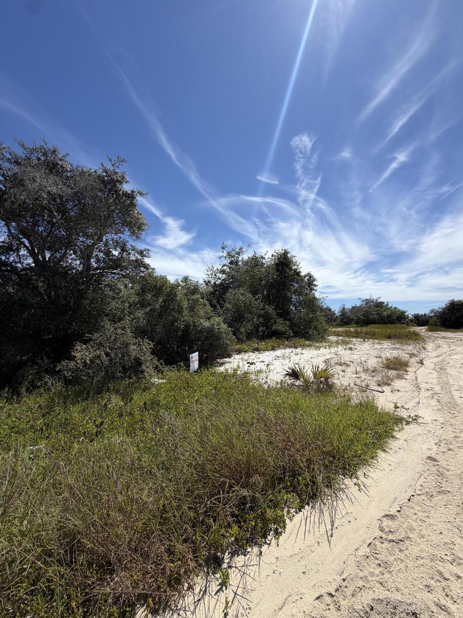Property Photo: 229 Rhythm Drive FL 33852