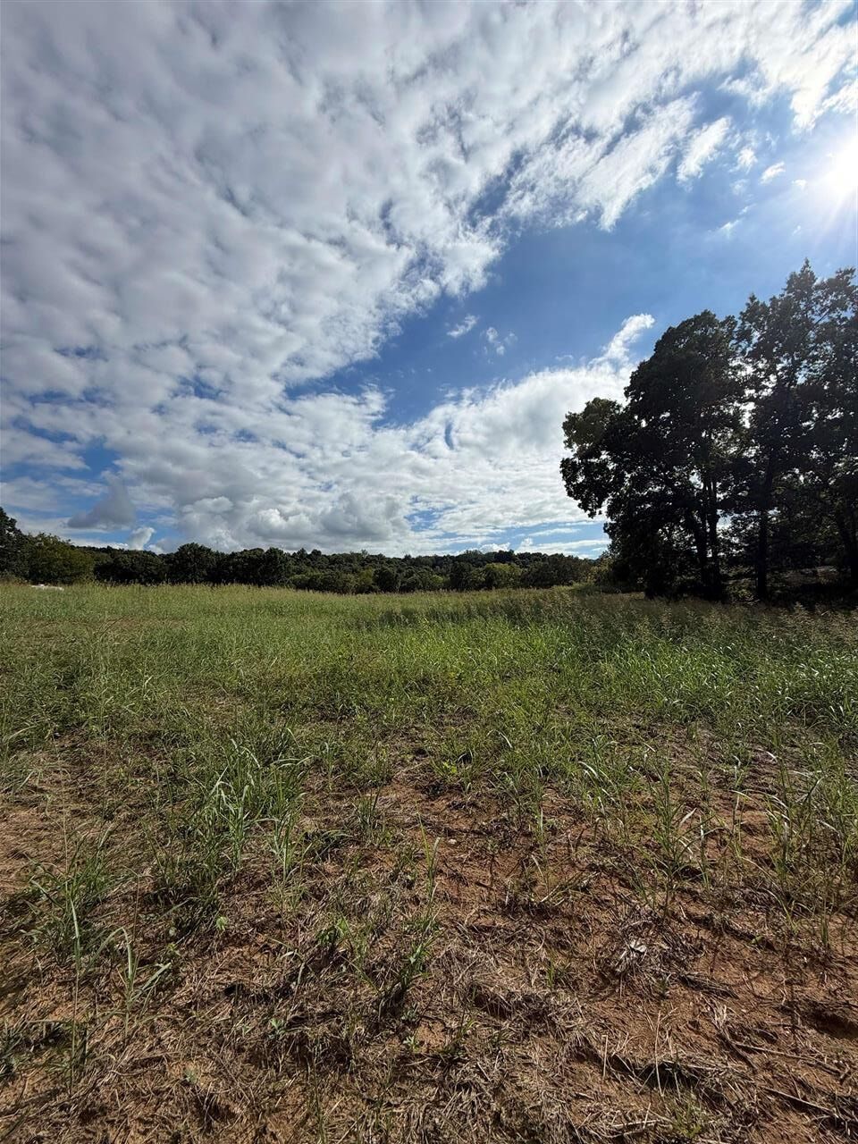 Property Photo: 0 Proctor Mill Road KY 42276
