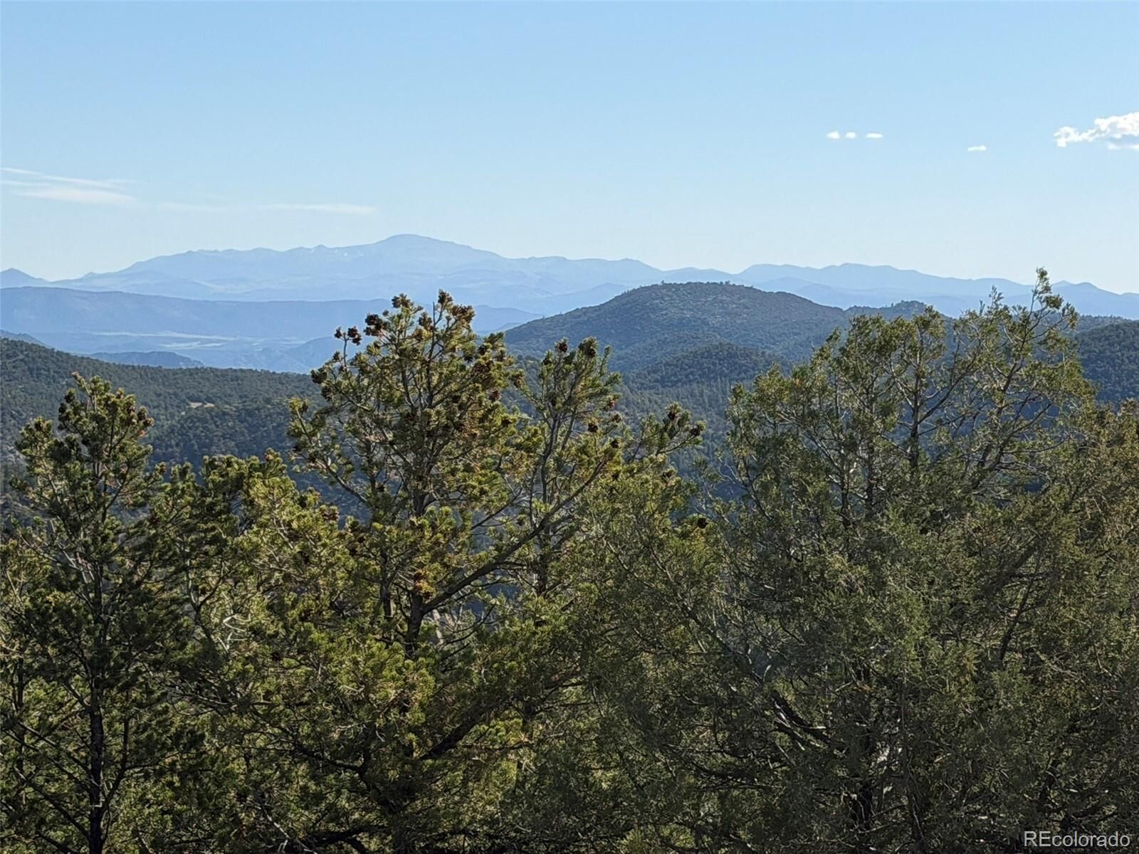 Property Photo:  20 Molly Lane  CO 81223 