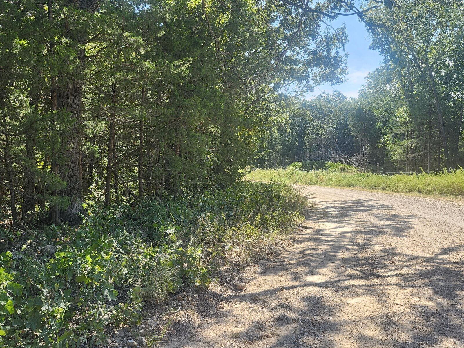 Property Photo:  13239 County Road 290  MO 65650 