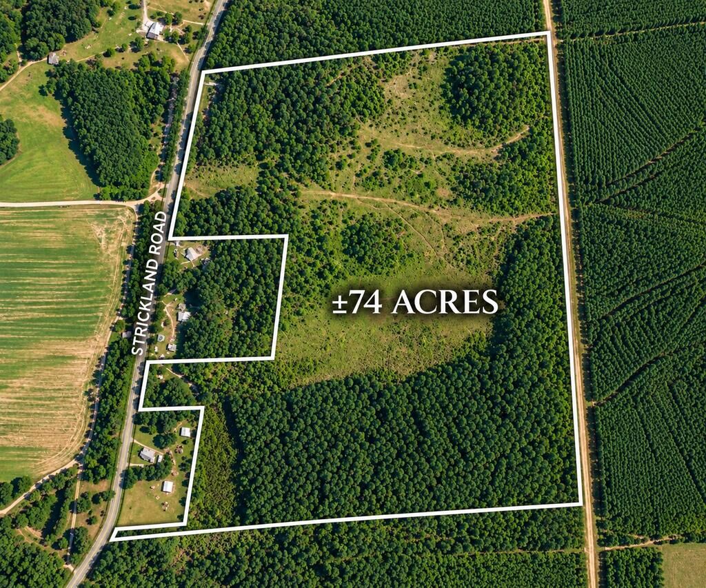 Property Photo:  0 Strickland Road  GA 31636 