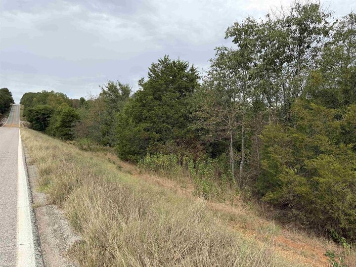 Property Photo:  Tbd N Hwy 289  AR 72513 