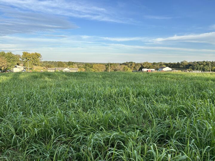 Property Photo: Tract #1 Mt Eden Road KY 40076