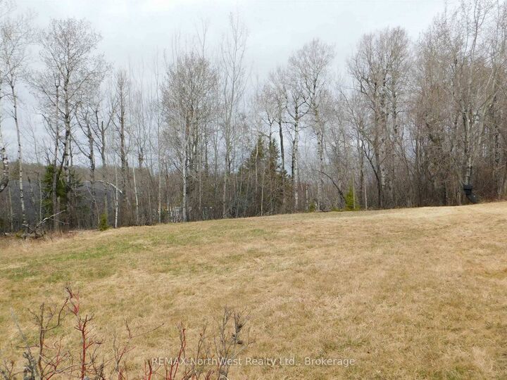 Property Photo:  113 Third Street  ON P8N 2V8 