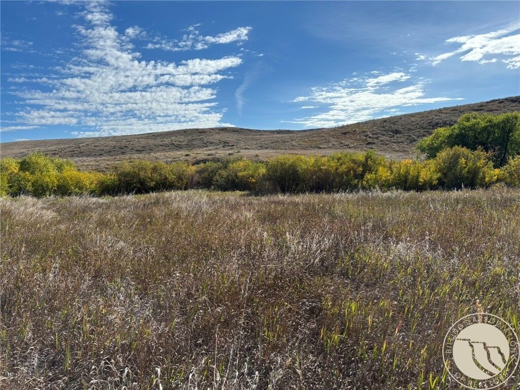 Property Photo:  568 Elbow Creek Road Road  MT 59070 