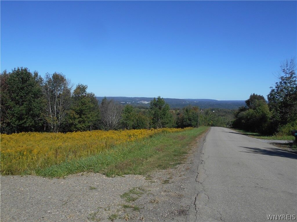 Property Photo: 0 Dutch Hill Rd, Lot #1 NY 14171