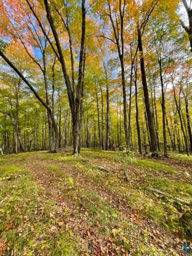 Property Photo: Xxxx Sunny Ln MN 55811