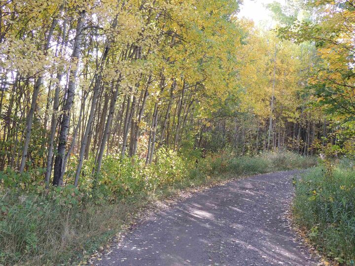 Property Photo: Xb Brandon Ln MN 55604