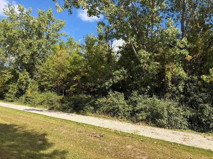 Property Photo: Vl N Weeping Willow MI 48657