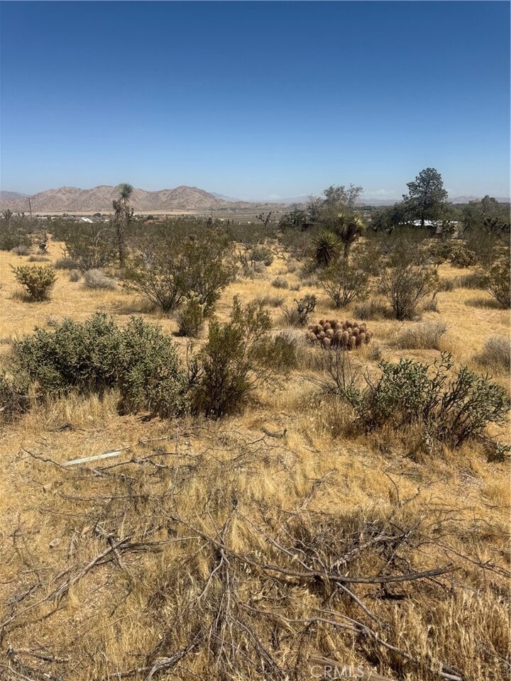 Property Photo:  2 Horizon  CA 92356 