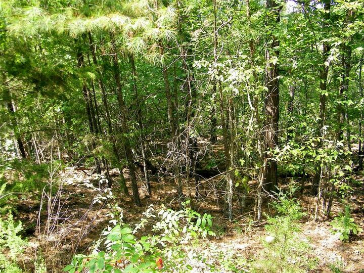 Property Photo:  Hee Creek  OK 74957 