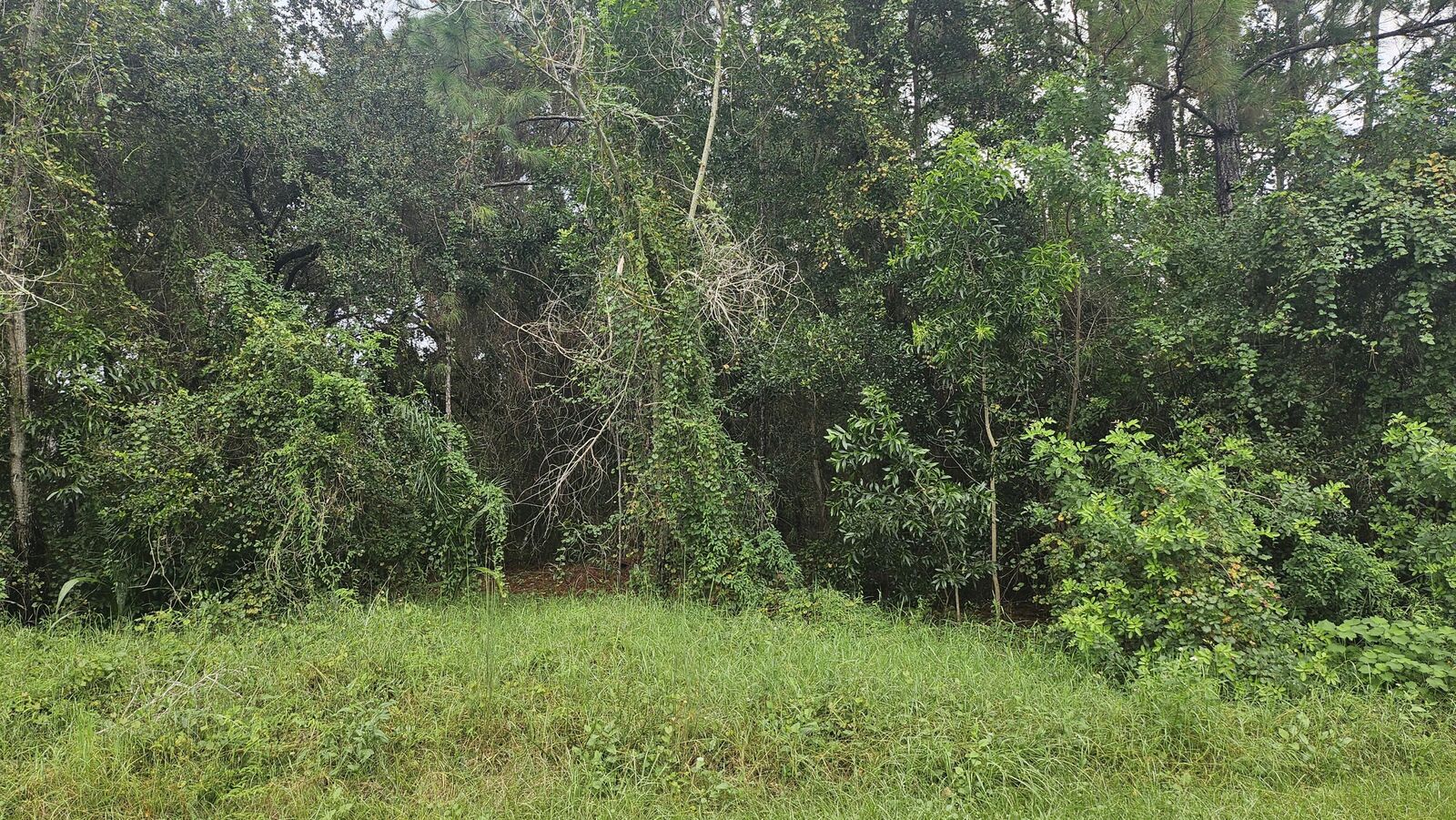 Property Photo: 5439 NW Thyer Circle FL 34983