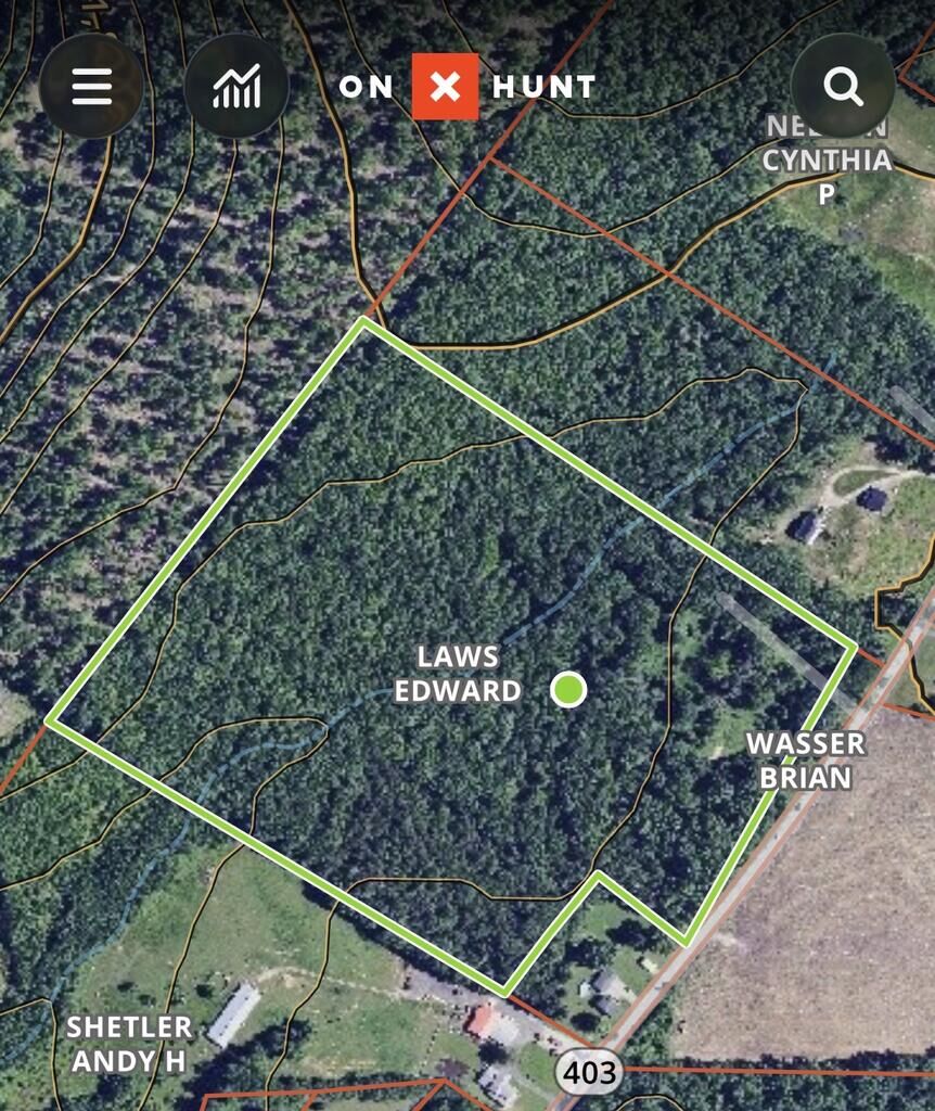 Property Photo:  Rt 403 Hwy N  PA 15714 