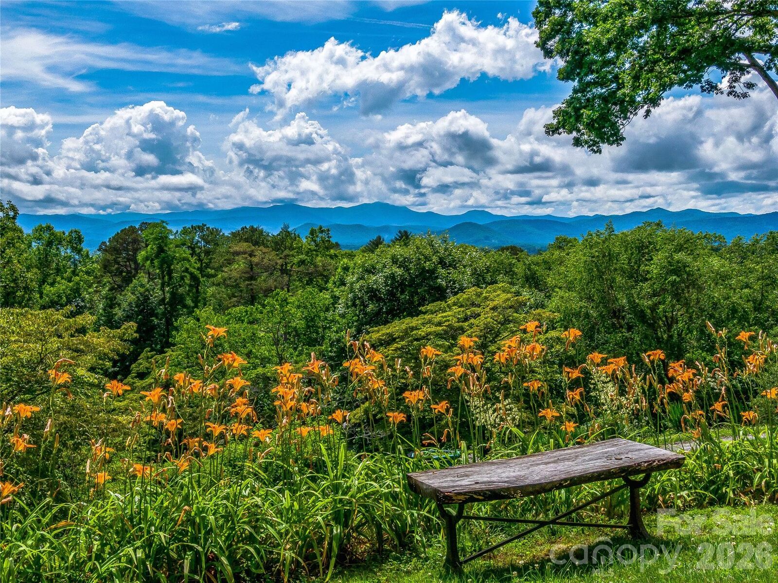 Property Photo:  170 Twin Springs Road  NC 28792 